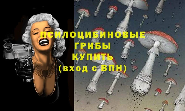дурь Абдулино