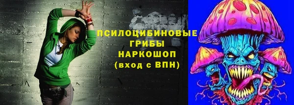 меф Пересвет
