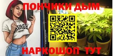 гидра Кинель
